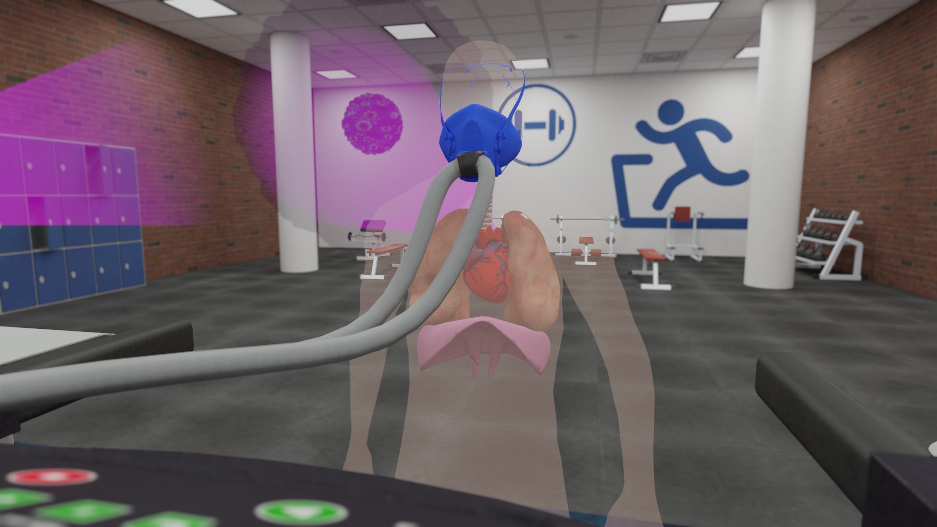 Human Body VR
